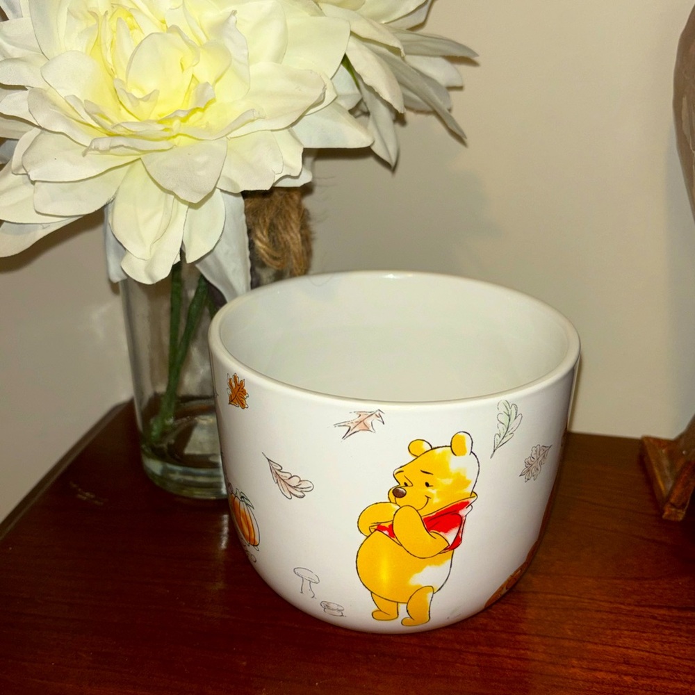 New Disney Winnie Pooh Friends Ceramic Candy Bowl Flower planter leaves pumpkins